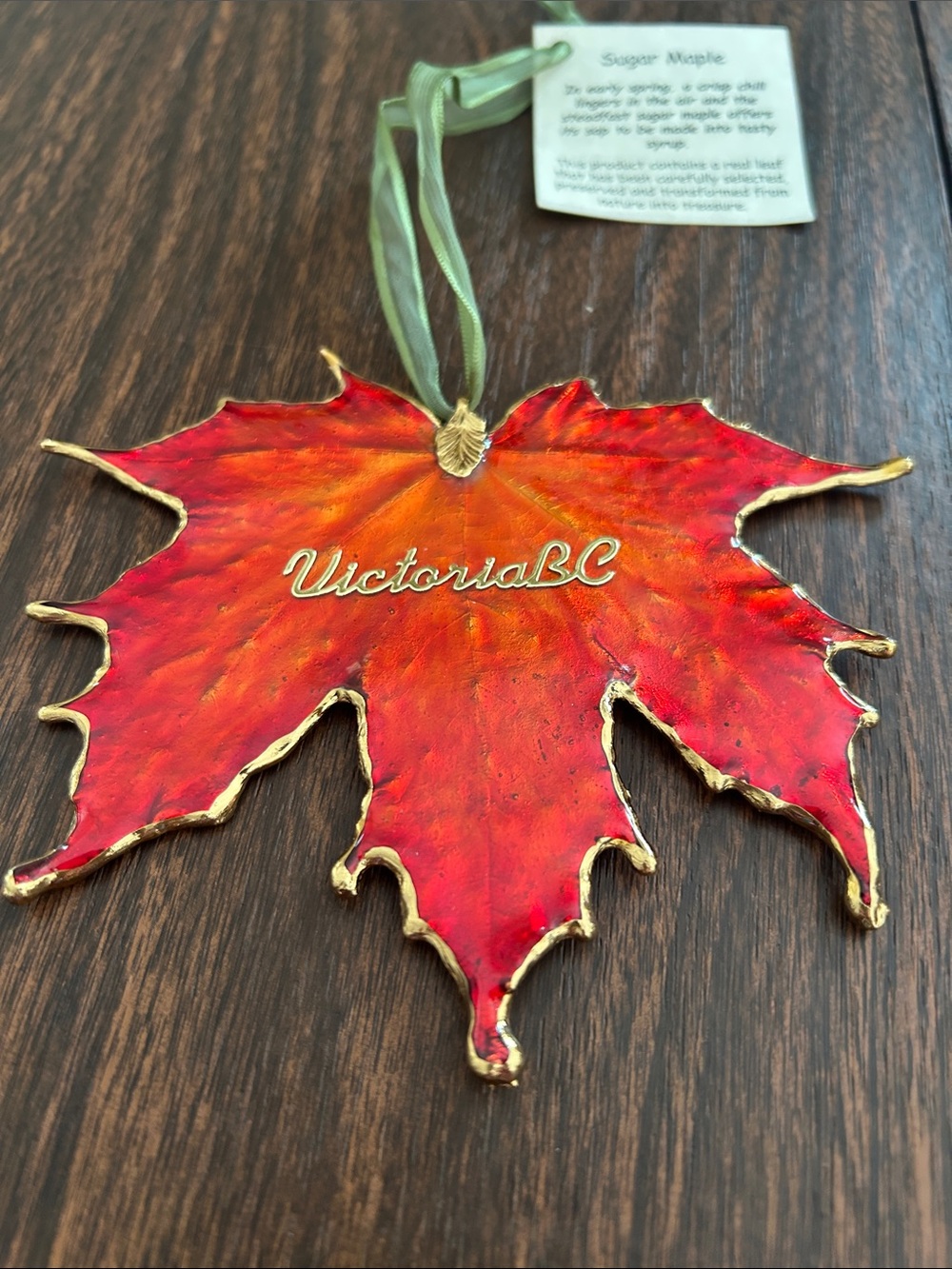 Preserved and Transformed Real Sugar Maple Leaf